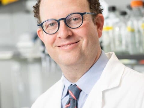 New study reveals how disrupted DNA navigation leads to impaired red blood cell development in myelodysplastic syndrome
